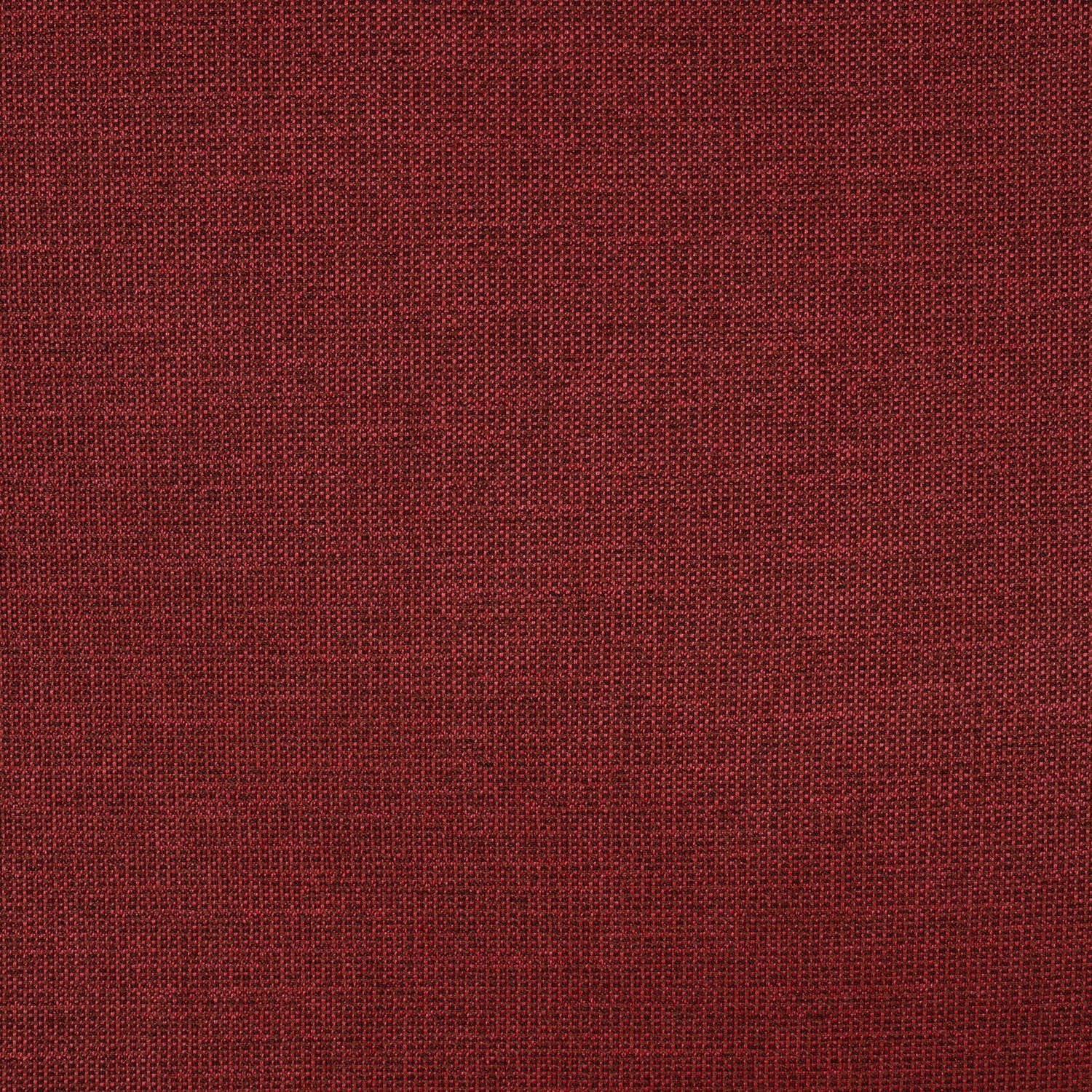 54" Rally Merlot (Transcend)