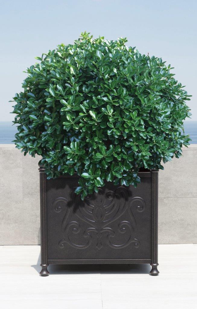 Tuscany 18" Small Square Planter Box by Hanamint