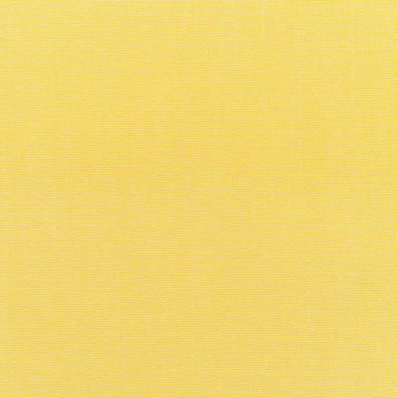 Elements 54" Canvas Buttercup