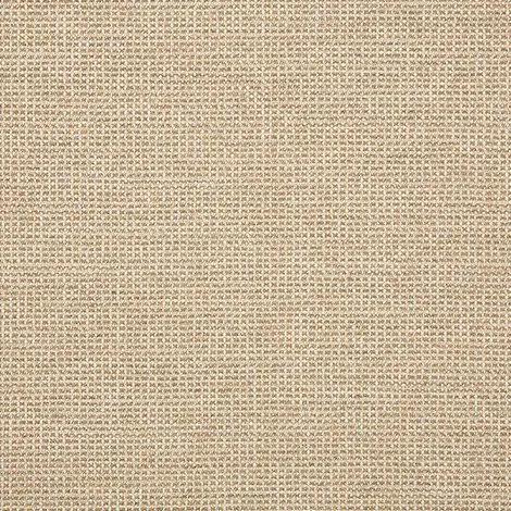 Fusion 54" Demo Wren (Fusion)