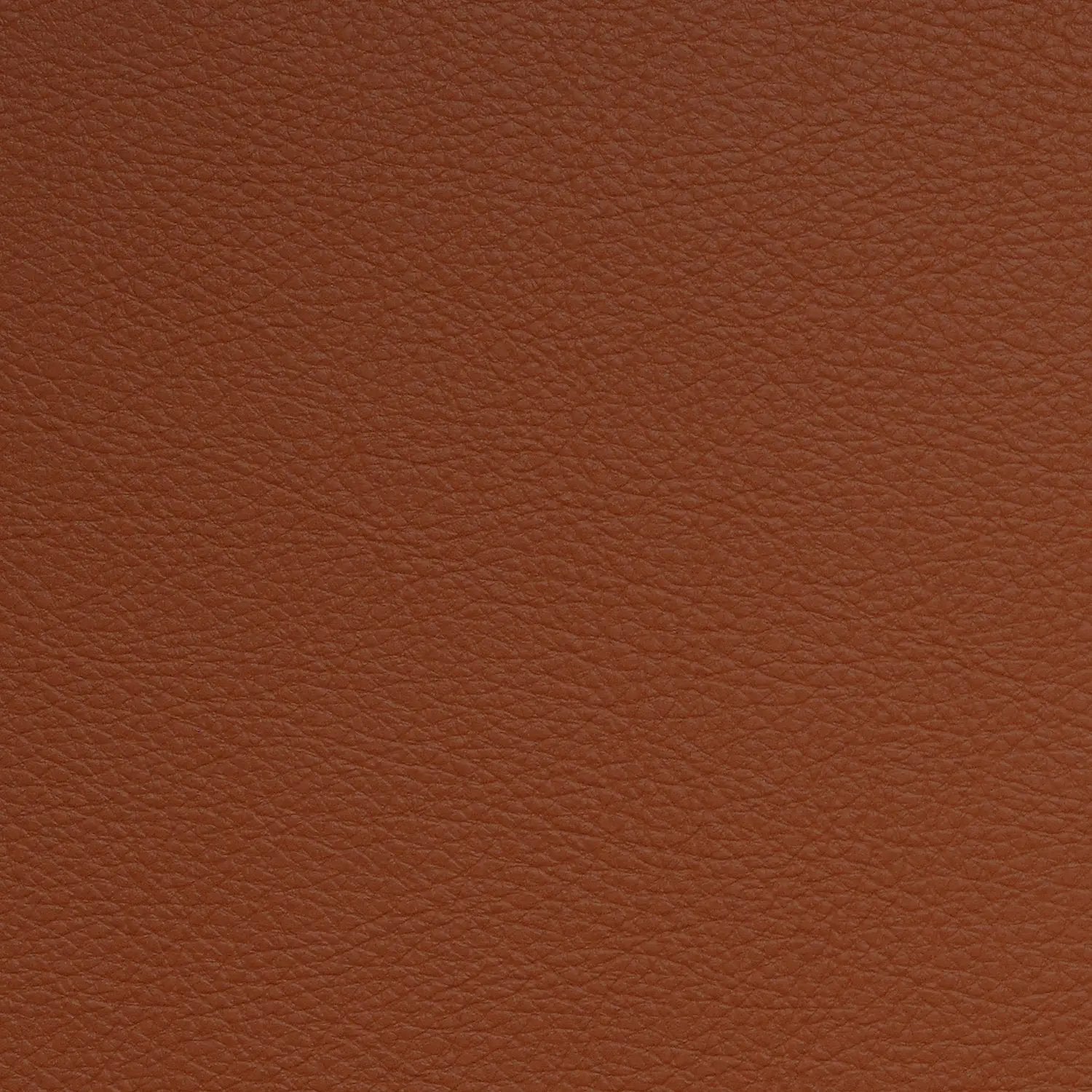 Aura 54" Retreat Apricot