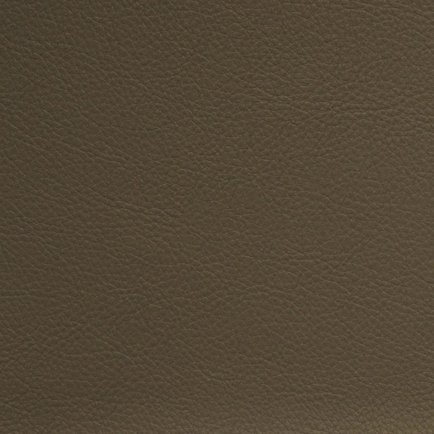 Aura 54" Retreat Oyster