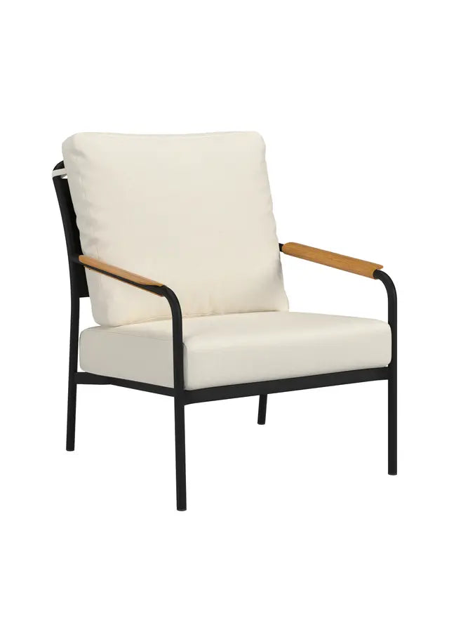 Cove Solid Back Cushion Lounge Chair by Tropitone