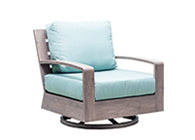 Seattle DS Swivel Rocker Chair Replacement Cushion by Patio Renaissance 