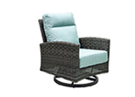 Eureka Swivel Rocker Chair Replacement Cushion by Patio Renaissance