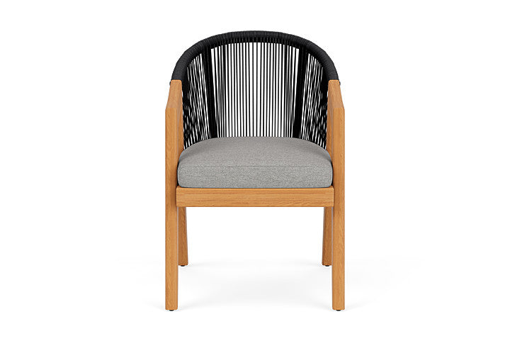Alpine Dining Armchair by Lloyd Flanders