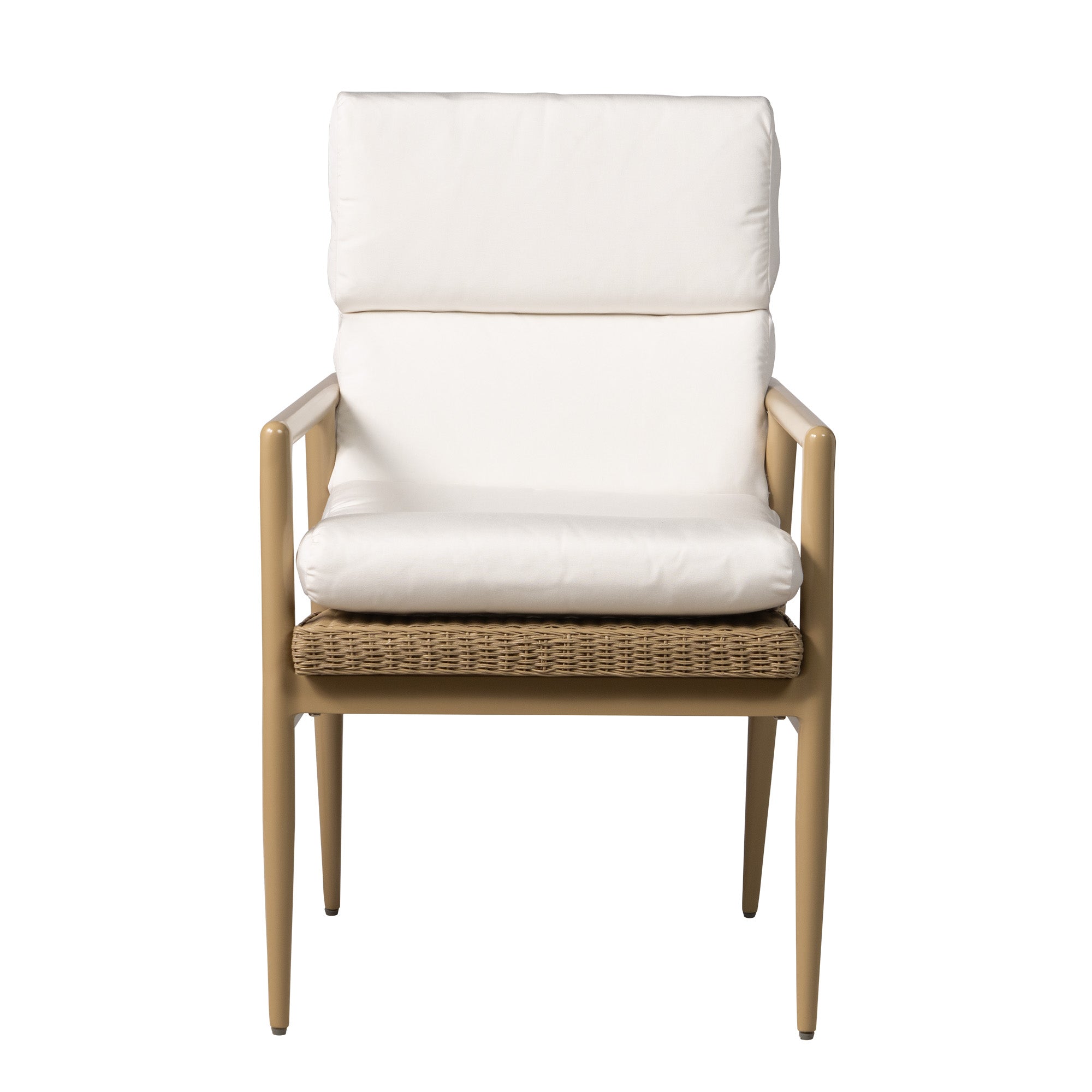 Cascade Dining Armchair by Lloyd Flanders