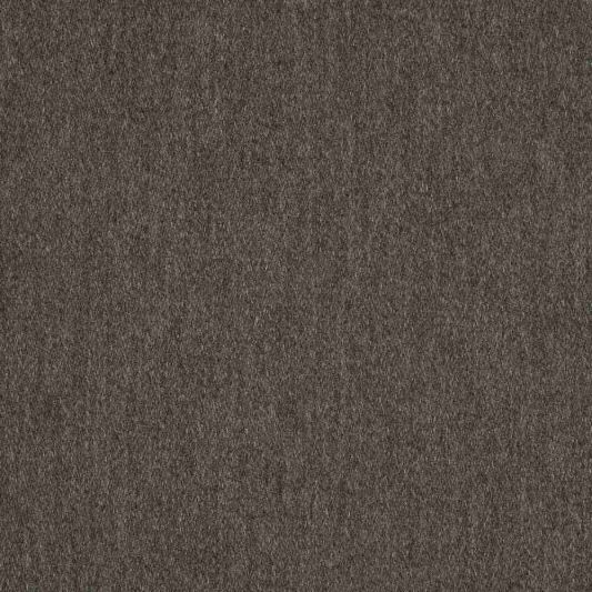 Fusion 54" Pashmina Coal (Fusion)
