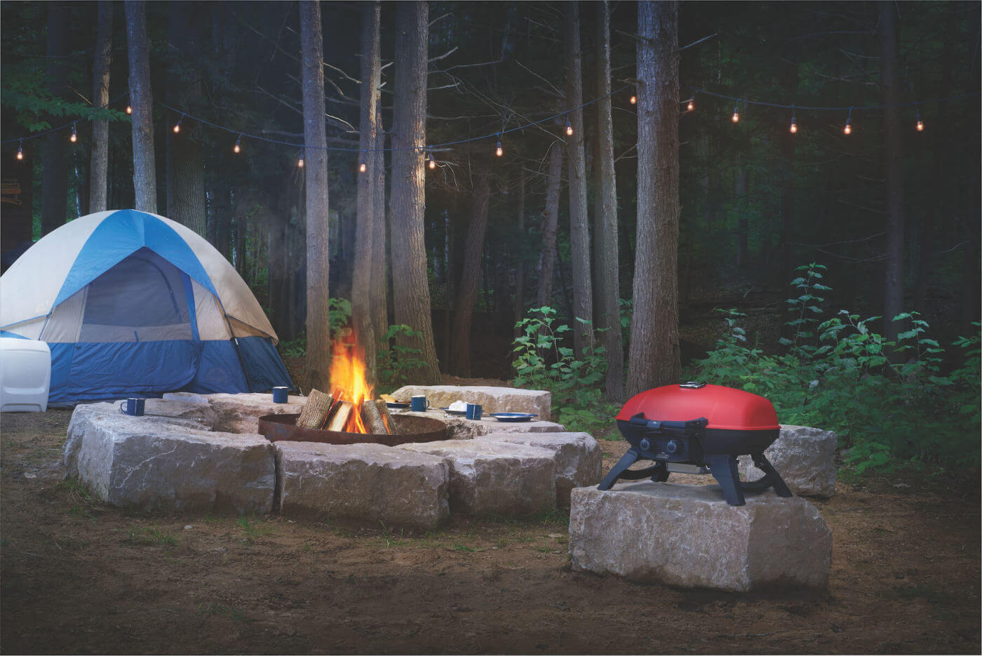 TravelQ™ 285 with Griddle