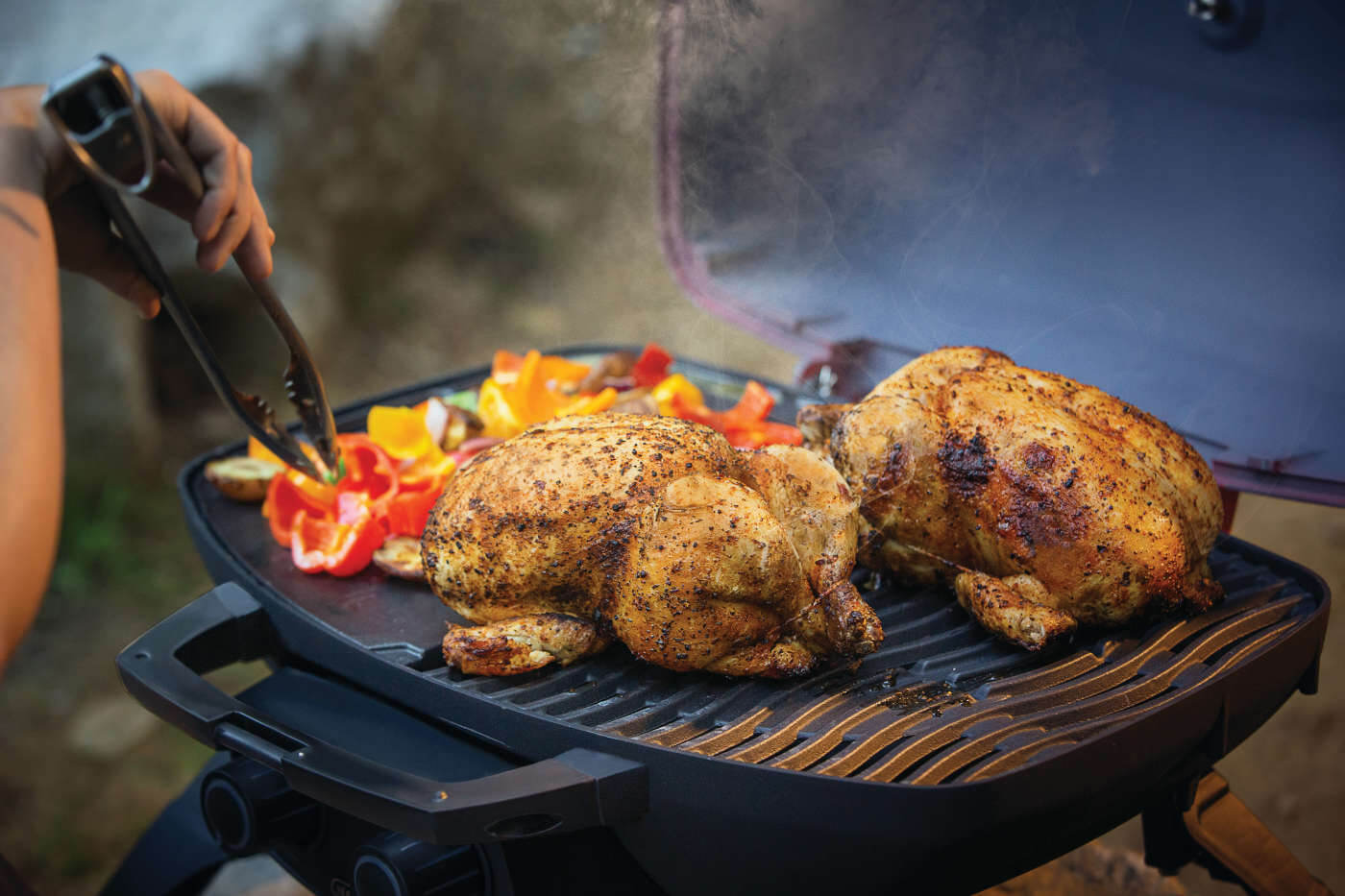 TravelQ™ 285 with Griddle